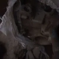 سرسیلند  ریو مدل 85 اصل کره