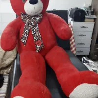 خرس خیلی بزرگ وبامزه