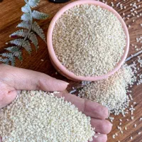 کنجد سفید بدون پوست پاکستان