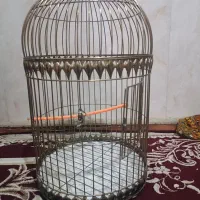 قفس گرد طلایی ضخیم