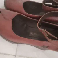 کفش نو