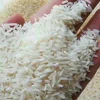برنج فجر اعٔلا