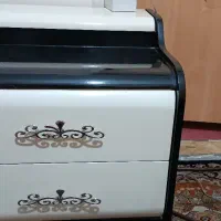 ۲عددکشو ریلی