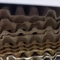 فروش شانه تخم مرغ استفاده شده در رفسنجان