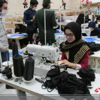 اتو کار و چرخکار