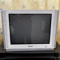 تلویزیون