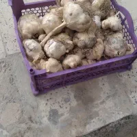 سیر همدان