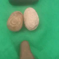 هبهاب جذب عراقی  ومهره راف سلطانی