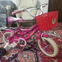 دوچرخه سایز 12 تایوانی