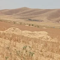 فروش کاه گندم
