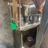دو عدد قفس بزرگ مخصوص پرنده