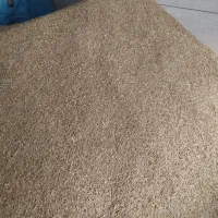 فروش حدوداً ۱۵۰۰ کیلو جو سرارود