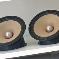 میدرنج 10اینچ کیکر