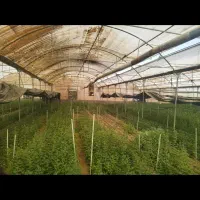 فروش سازه گلخانه