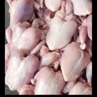 مرغ تلفاتی مخصوص غذای سگ