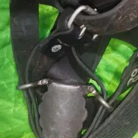 هیکلی علامت کشی گاومیش