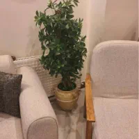 درختچه مصنوعی و آباژور