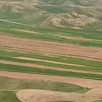 فروش زمین زراعتی