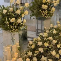 تالار و تشریفات شمس