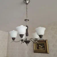 لوستر سیلور