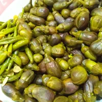 ترشی شکم پر