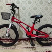 دوچرخه 20 منیزیم