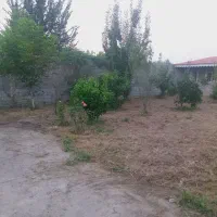 زمین-مسکونی