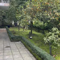 فردوس-جنوبی-رویان-زمین-710-متری