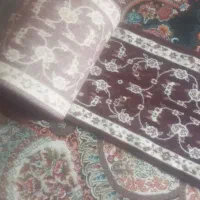 قالی کناره نیم در ۸ متر