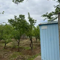 ویلا|فروش خانه و ویلا|تنکمان, |دیوار