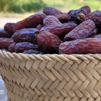 خرما خشک و رطب  تازه بم
