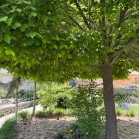 مناسب برای کشت و کار و اجرا گلخانه با نگهبانی