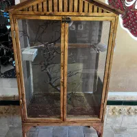 قفس