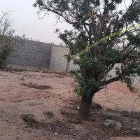 دو قطعه زمین مسکونی هر قطعه ۱۵۰ متر