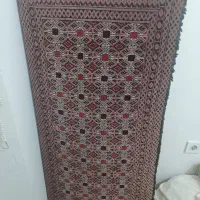 پشتی درحدنو نو