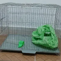 قفس پرنده