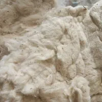 پنبه کارکرده