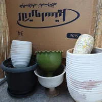 گلدان