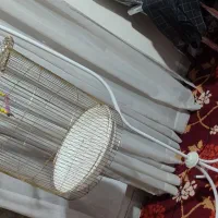 قفس پرنده بزرگ