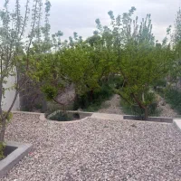 باغچه ۳۶۰ متری
