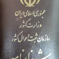 گمشده
