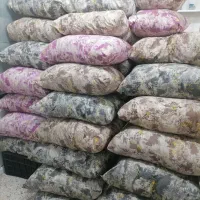 بالشت دو کیلویی
