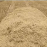 کاه گندم شالیزار