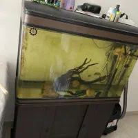 اکواریوم