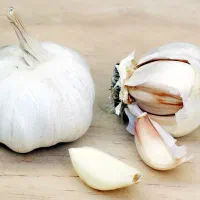 سیر درجه یک