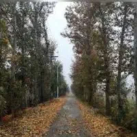 باغ-چهاردیواری-شهرک-فروردین
