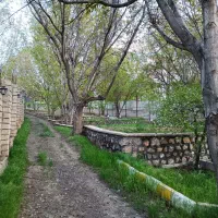 زمین باغی