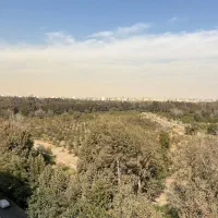 60متری هم‌کف داخل کوچه