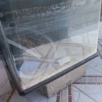 آکواریوم ماهی