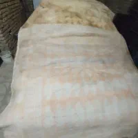 دو عدد زیر انداز گلیم